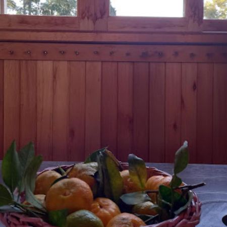 Cabana De Campo Cafe Da Manha Sitio Da Serrinha Distrik Bom Retiro Bagian luar foto