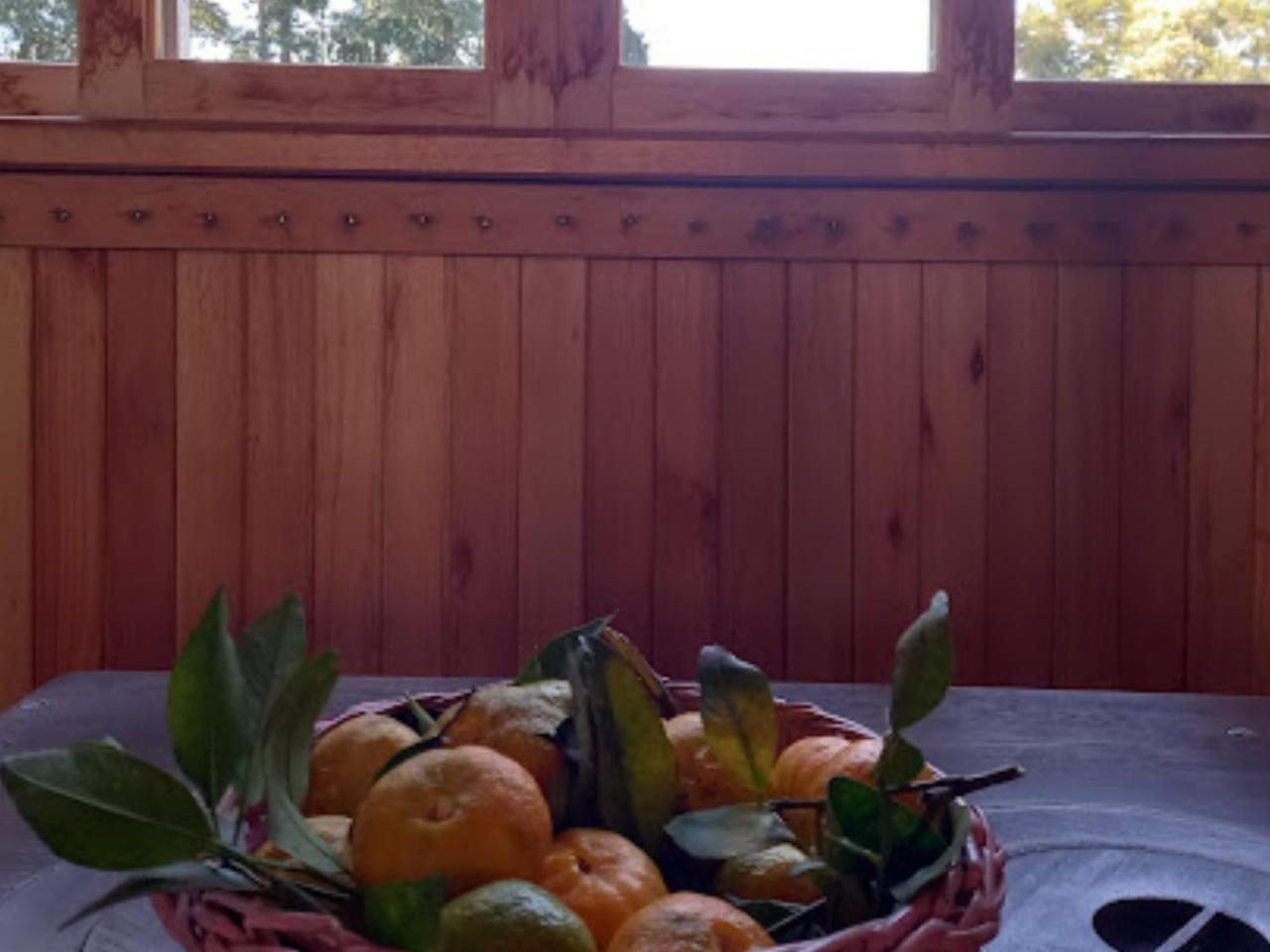 Cabana De Campo Cafe Da Manha Sitio Da Serrinha Distrik Bom Retiro Bagian luar foto